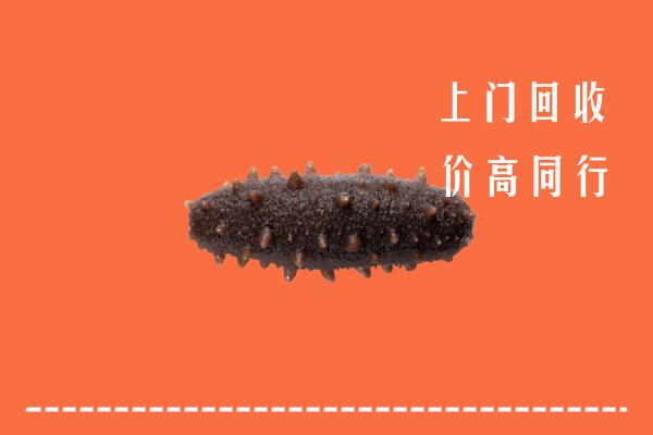 高价求购：江津区回收海参