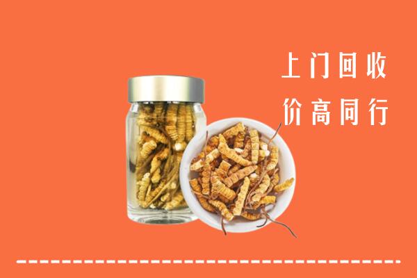 江津区回收冬虫夏草